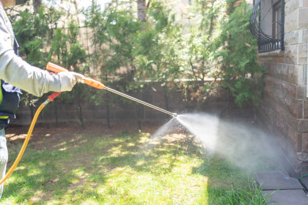 Best Residential Pest Control  in Algoma, WI